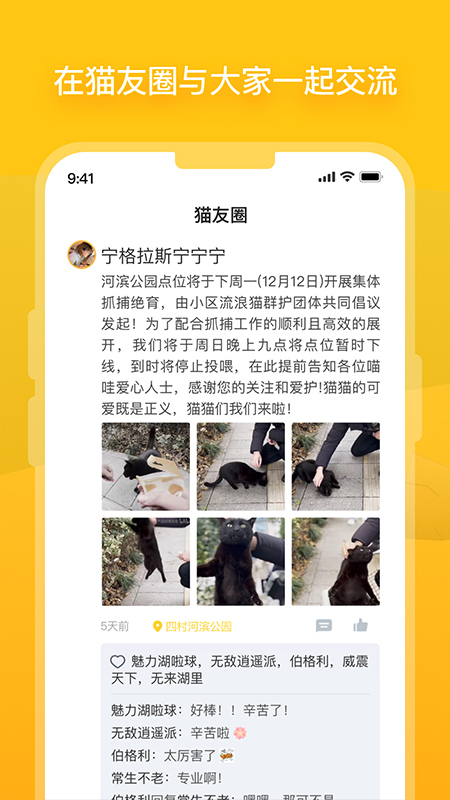 哈啰街猫截图3