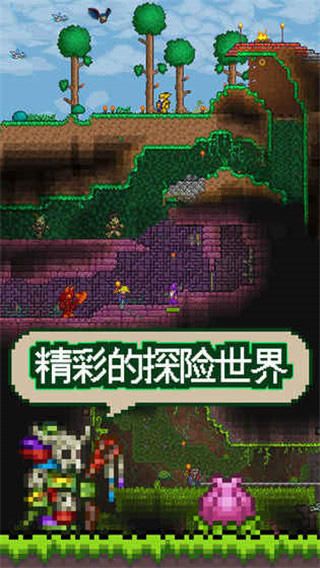 泰拉瑞亚手机版截图5