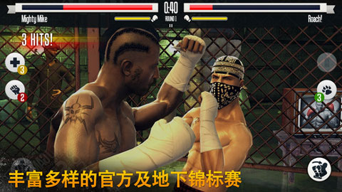 真实拳击破解版截图4