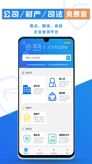 风鸟企业查询app截图2