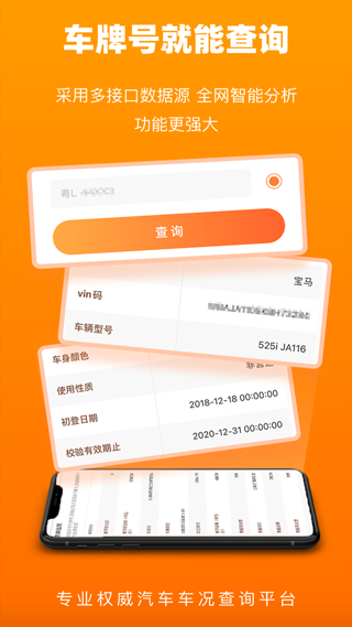 车况查询app截图4