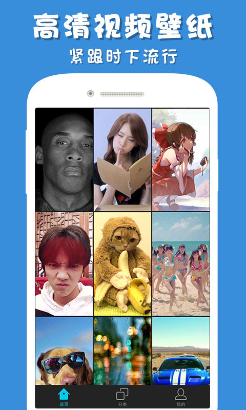 彩蛋视频壁纸手机版截图2