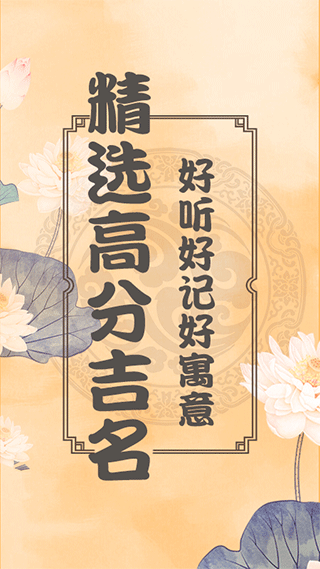 应用界面展示