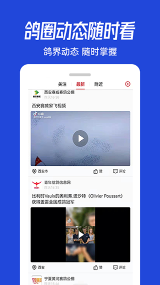 青鸽网app截图3
