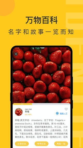拍照识物app截图4