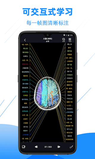 影像解剖图谱app截图2