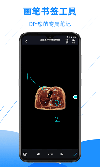影像解剖图谱app截图5