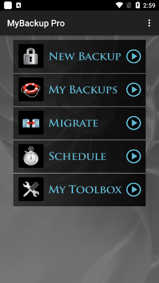 mybackup pro汉化版截图2