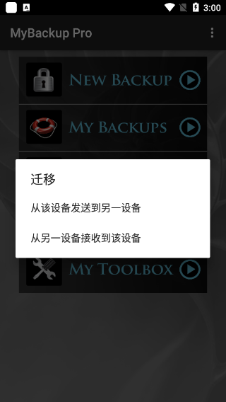 mybackup pro汉化版截图4