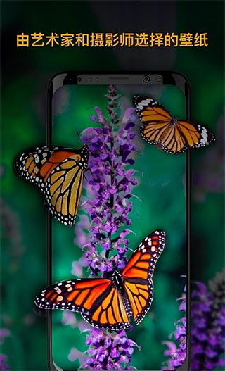 alive动态壁纸截图5