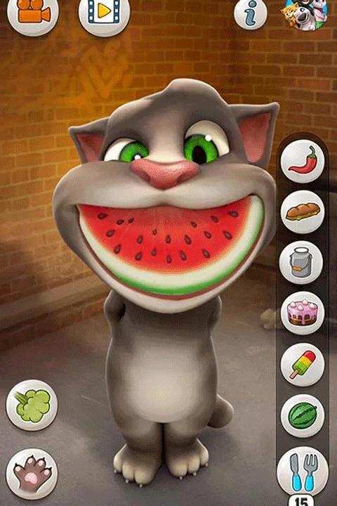 会说话的汤姆猫单机版截图2
