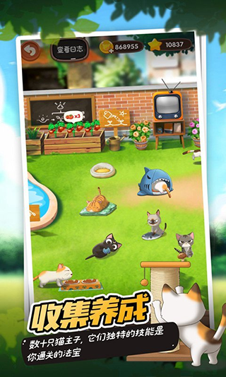 猫语咖啡最新版截图4