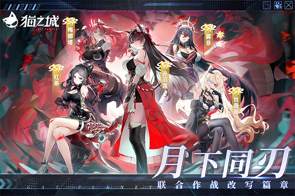 猫之城官方版截图1