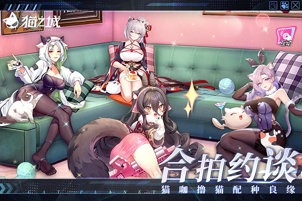 猫之城官方版截图2