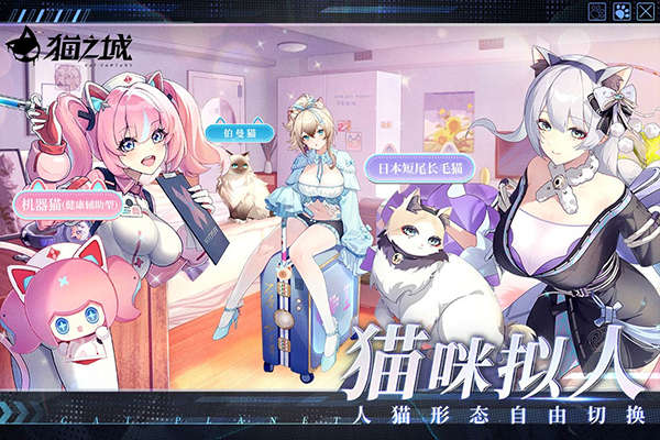 猫之城官方版截图3