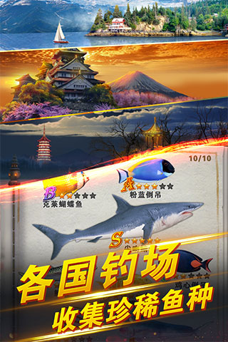 世界钓鱼之旅手机版截图1