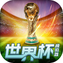 世界杯模拟器手游(wordcup)v1.0