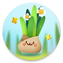 口袋植物最新版v2.8.1