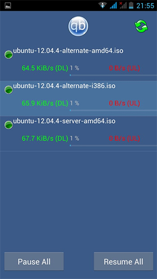 qbittorrent安卓版截图1
