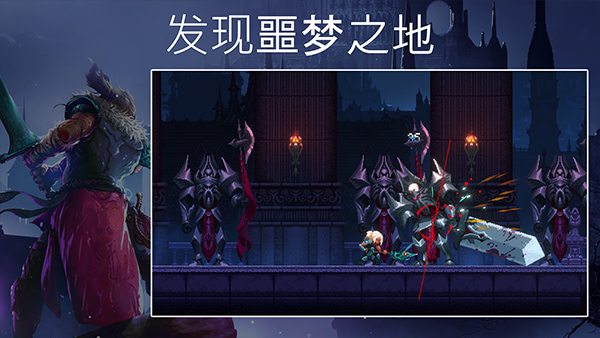 埃德兰最新版截图3