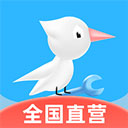 啄木鸟家电维修appv1.6.3