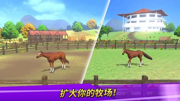 德比生活最新版(Derby Life)截图2