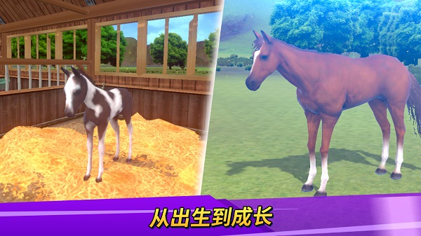 德比生活最新版(Derby Life)截图3
