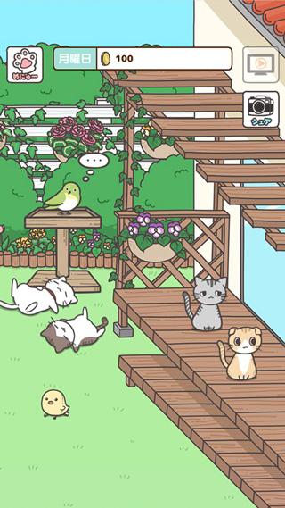 猫咪饲养日常中文破解版截图1