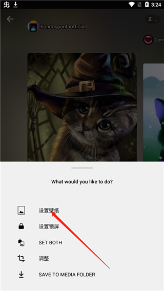 Zedge壁纸官方版