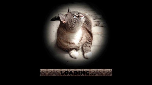 流浪猫模拟器手机版(StrayCatSim)截图1