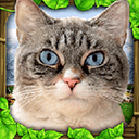流浪猫模拟器手机版(StrayCatSim)V1官方版