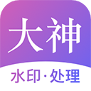 大神水印appv2.4.0