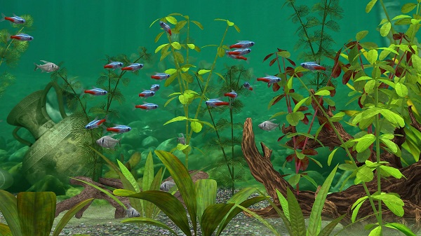 养鱼场3中文版(Fish Farm 3)截图5