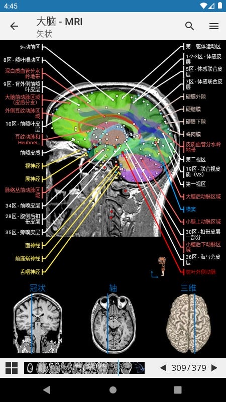 e-anatomy中文免费版截图2