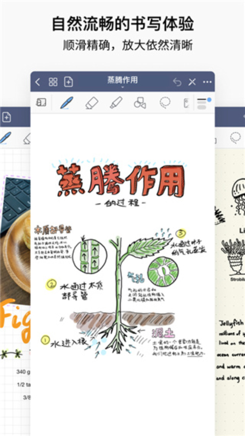 GoodNotes安卓版截图3
