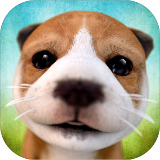 狗狗模拟器游戏(DogSimulator)v2.2.3
