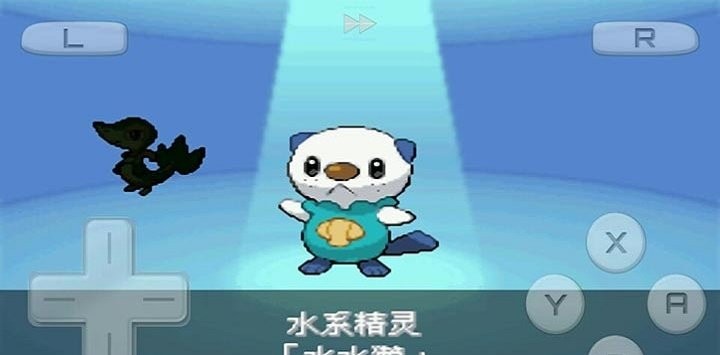 口袋妖怪黑2中文版截图2