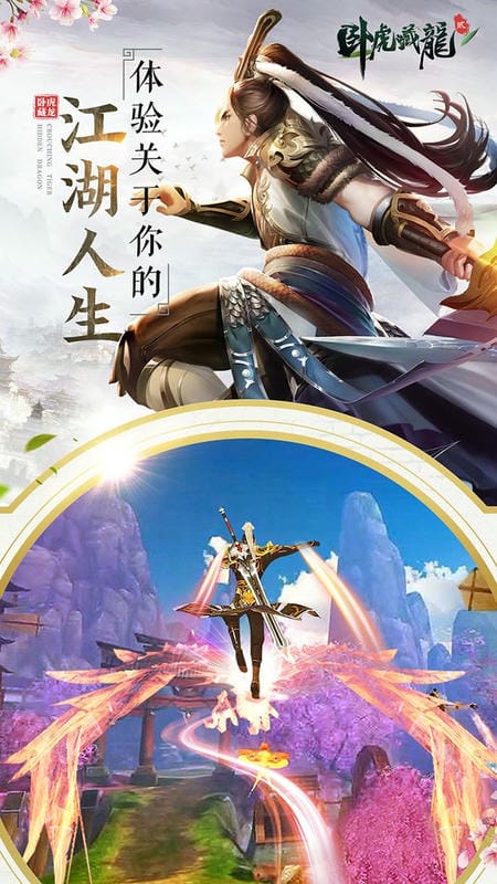 卧虎藏龙贰官方版本截图3