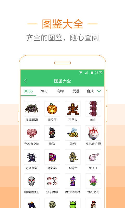 泰拉瑞亚助手盒子正版截图1