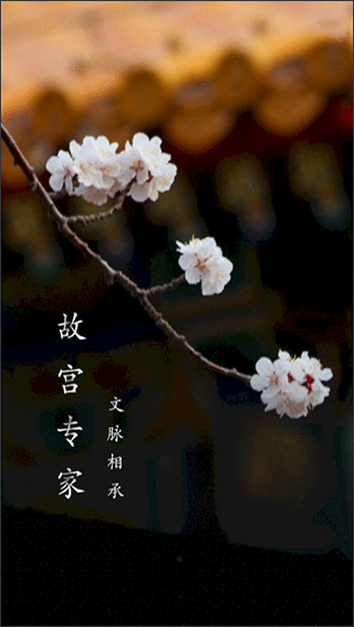 故宫云课app截图4