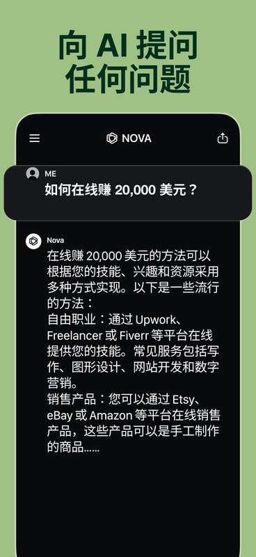 NovaAI绘画软件截图1