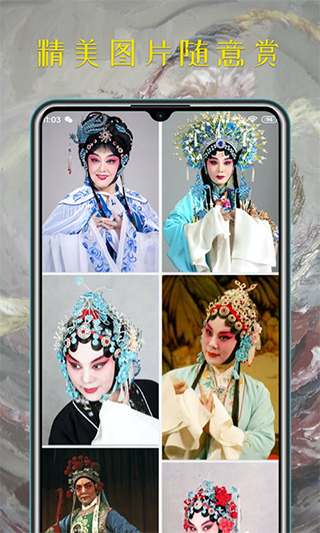 豫剧迷手机版截图1