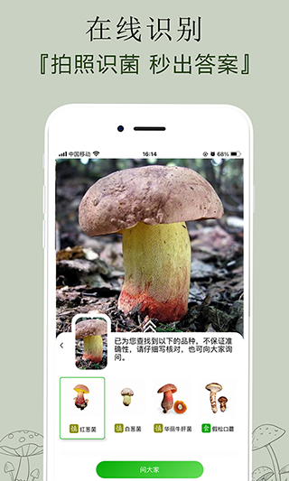 菌窝子app截图3