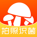 菌窝子appv3.0.0