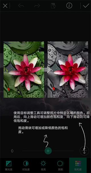 相片大师app