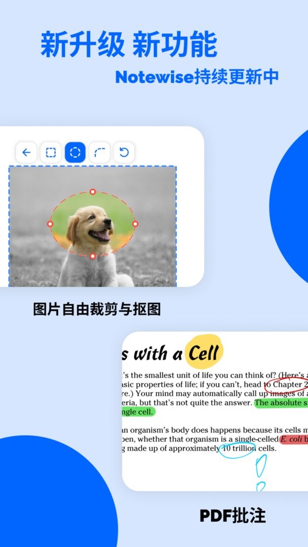 notewise官方版