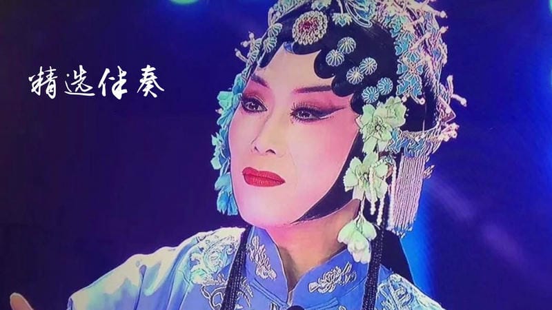 黄梅迷app截图1