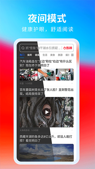 飞觅浏览器app截图4