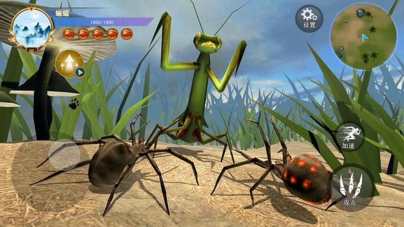 蜘蛛模拟生存最新版 蜘蛛模拟生存官方版