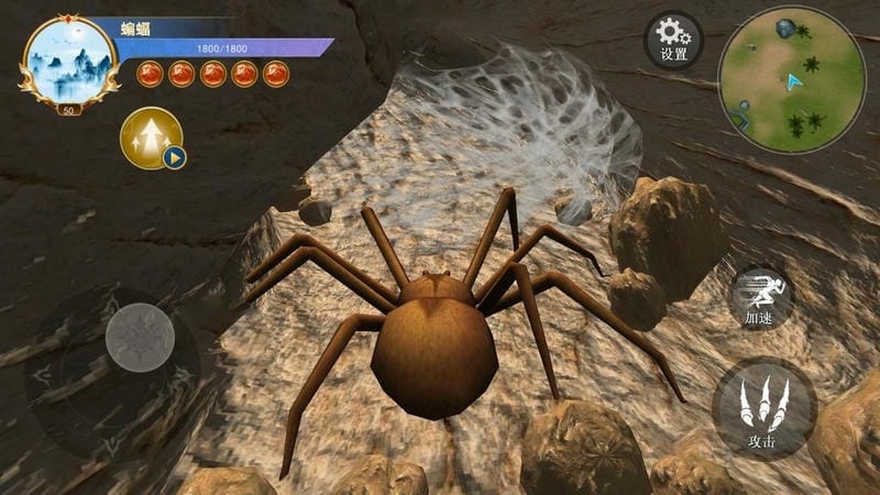 蜘蛛模拟生存游戏破解版截图3